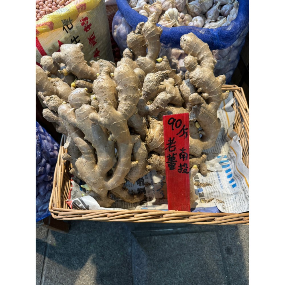 南投老薑