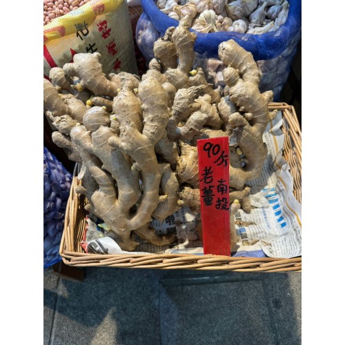 南投老薑
