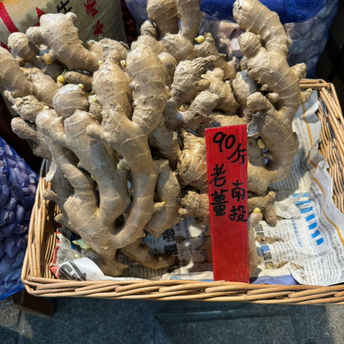 南投老薑