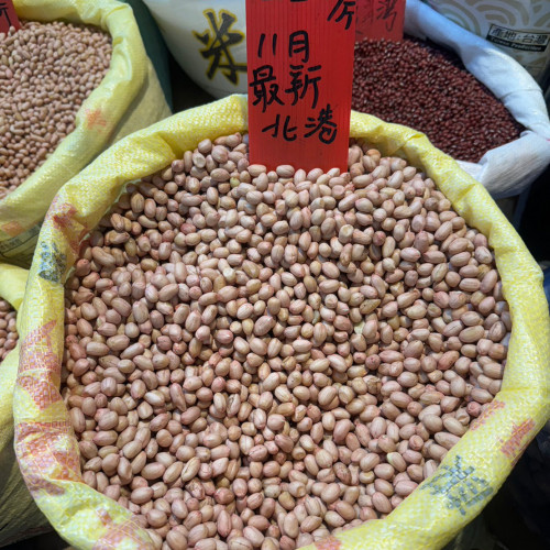 11月最新北港