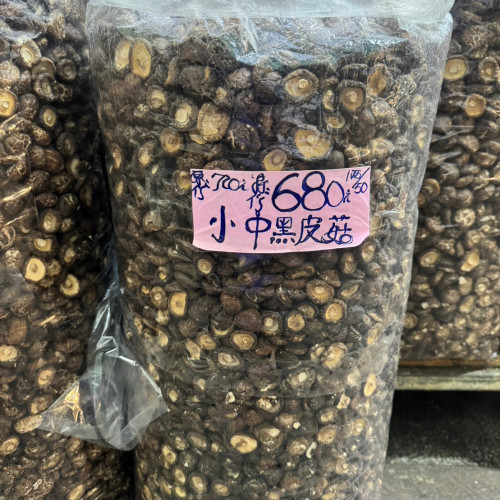 小中黑皮菇