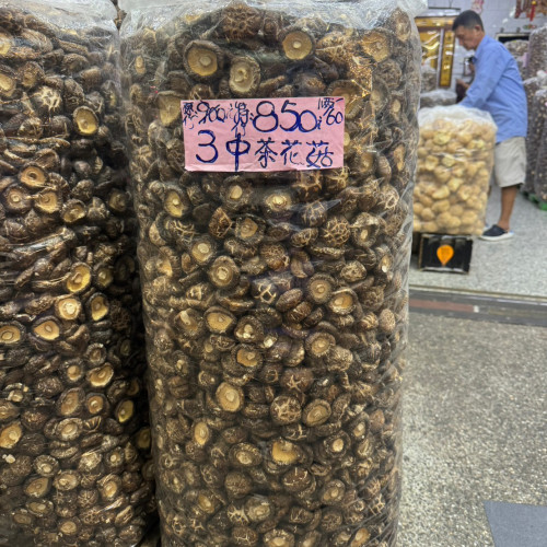 3中茶花菇
