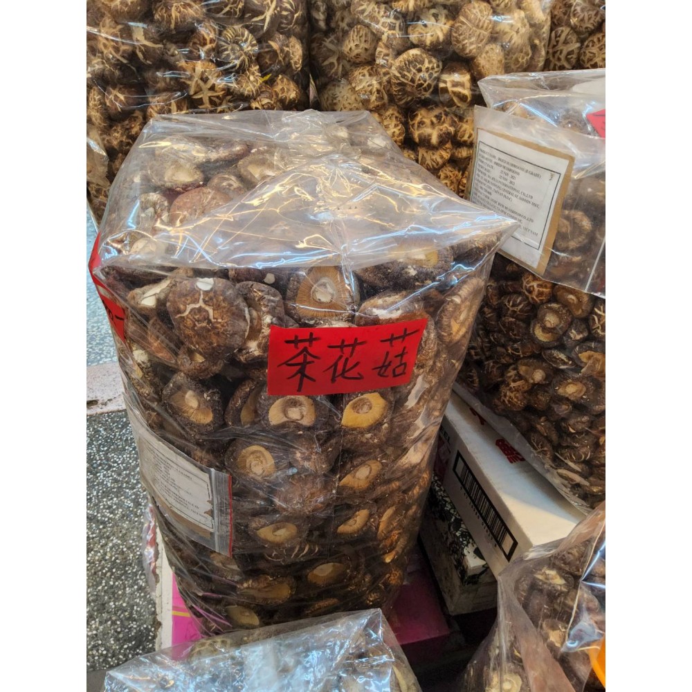 茶花菇