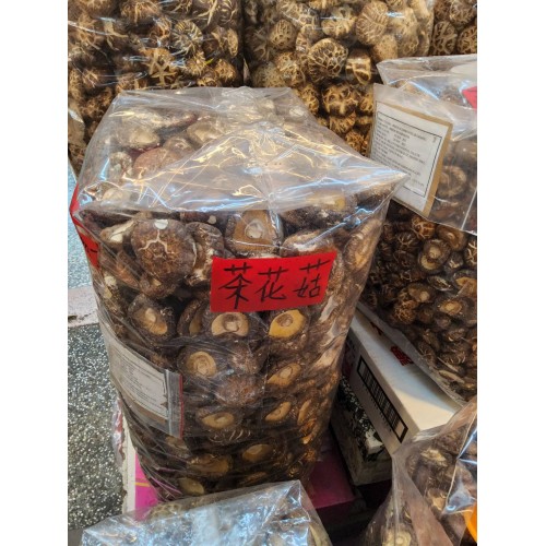 茶花菇