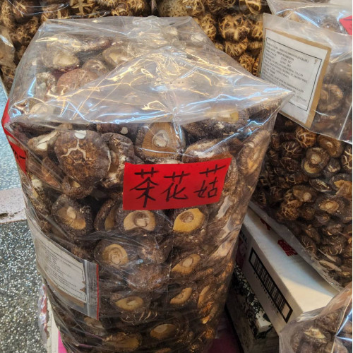 茶花菇