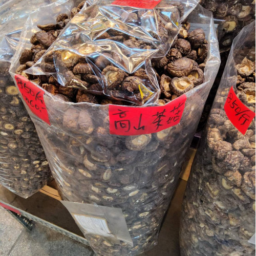 高山茶菇